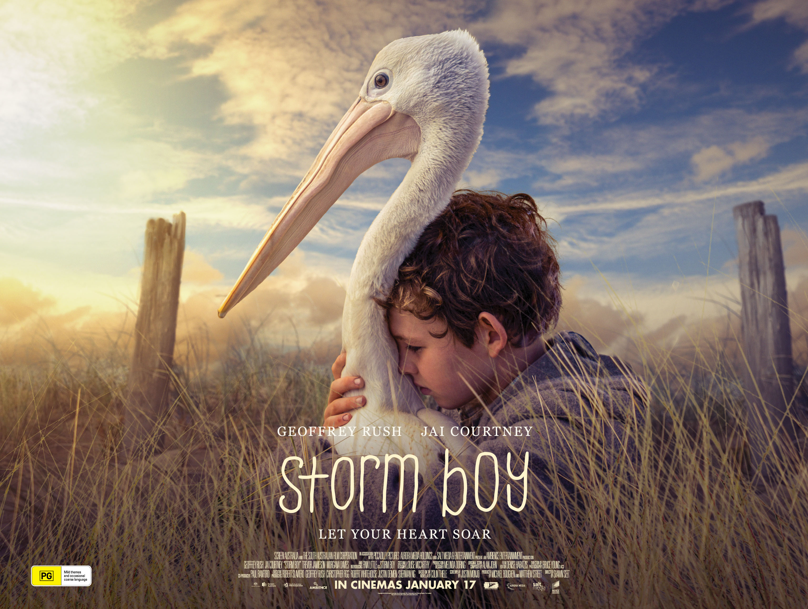 imdb storm boy