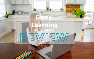 Cluey Learning Review